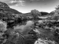 Meetings of the Waters